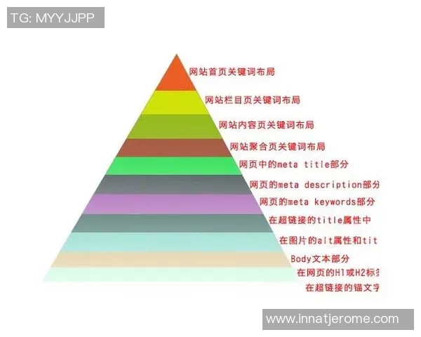 关键词推广优化推荐与火10星的全面对比分析与应用探讨